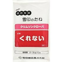 Amazon | アカクローバー：赤クローバー（アカツメクサ）500g入り[タネ